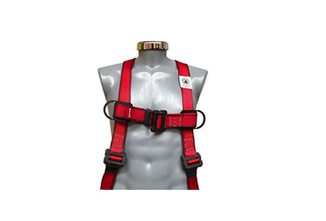 ARNES 1 ARGOLLA GOLDEN EAGLE PC100K