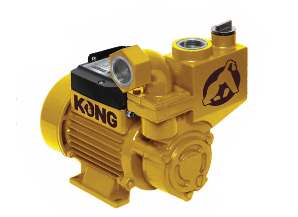 BOMBA DE AGUA AUTOCEBANTE 1HP